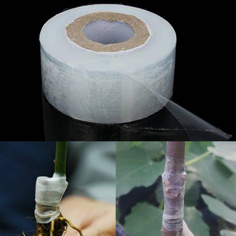 Tree Plants Seedlings Grafting Supplies Stretchable