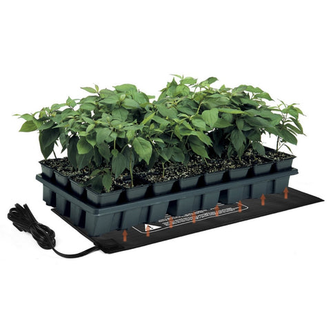 52X24cm PVC Waterproof Seedling