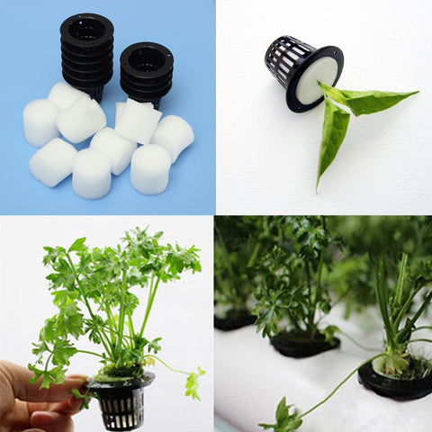 10Pcs Insert Seed Germinate Nursery Pots