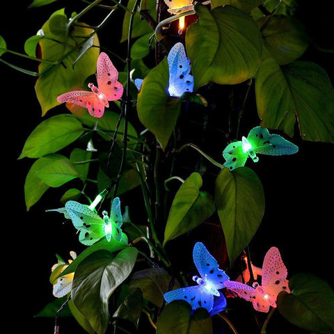 12 Led Solar Powered Butterfly Fiber Optic