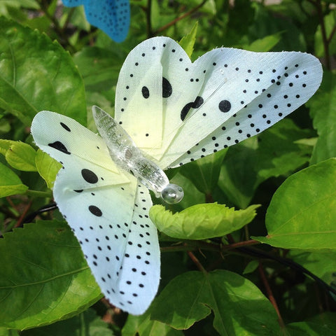 12 Led Solar Powered Butterfly Fiber Optic