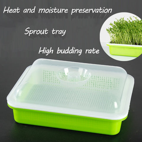 Healthy Wheatgrass Grower with Cover Seedling