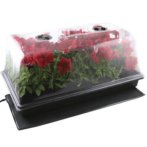 52X24cm PVC Waterproof Seedling