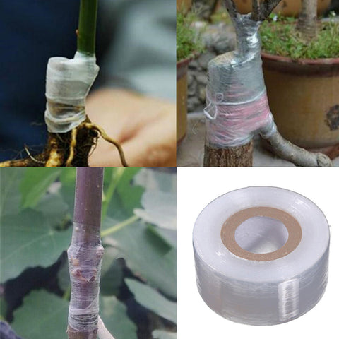 Tree Plants Seedlings Grafting Supplies Stretchable