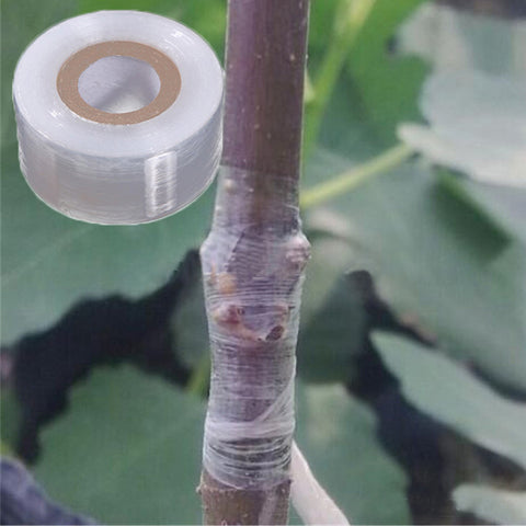 Tree Plants Seedlings Grafting Supplies Stretchable